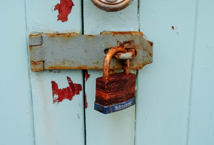 Vidaus durys: nuo klasikinio iki modernaus dizaino